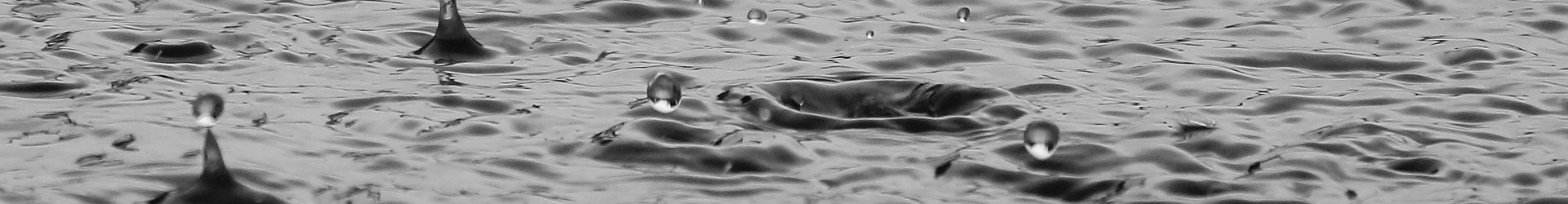 Kategorie: <span>Allgemein</span>